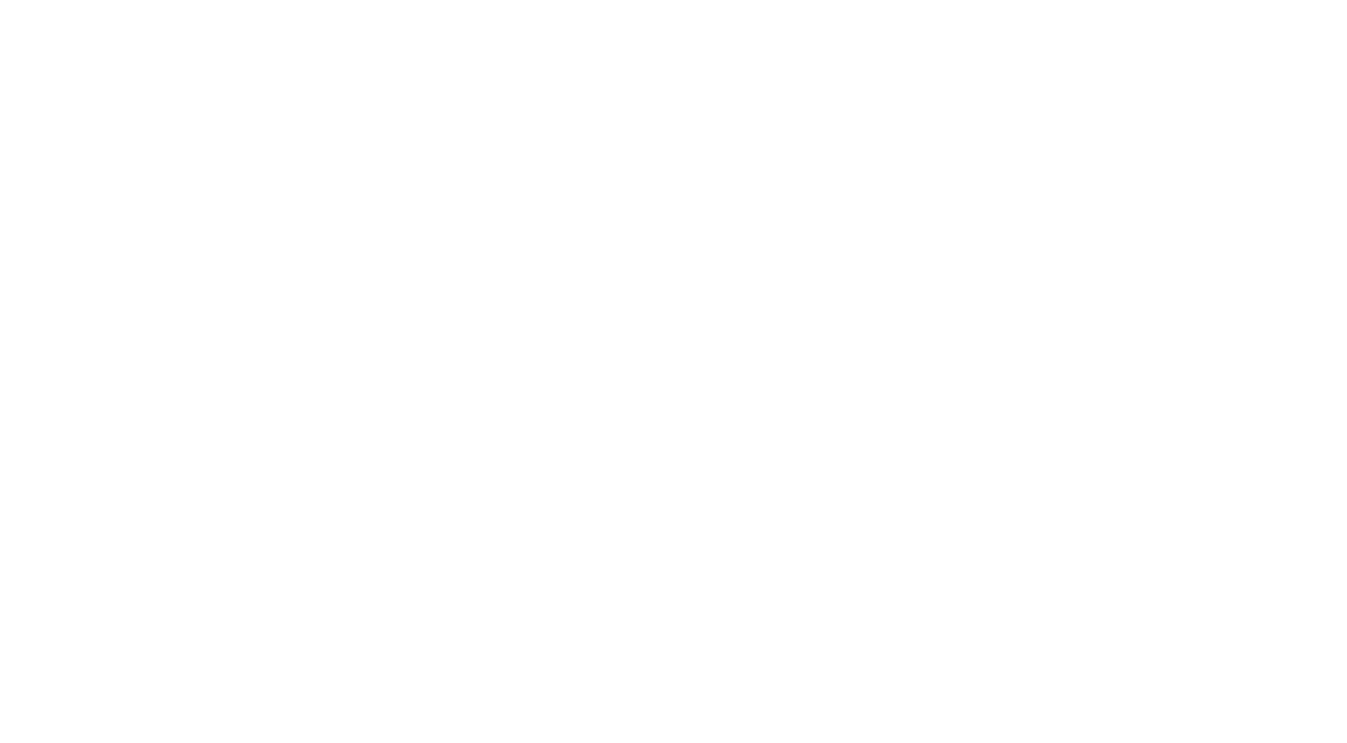 Media Orange
